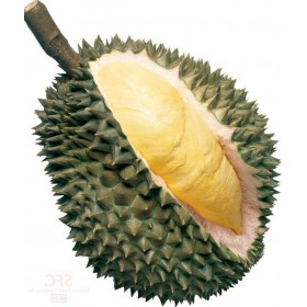 Monthong Durian