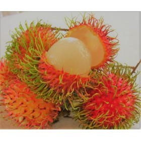 Rambutan