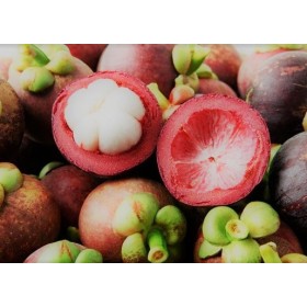 Mangosteen